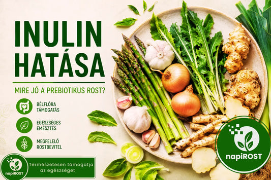 Inulin hatása – mire jó a prebiotikus rost?