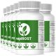 napiROST ALAP – Multipack (6 doboz)